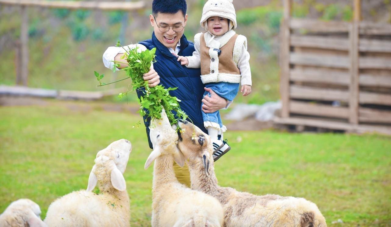 Chimi Farm là hệ thống nông trại cho các bé trải nghiệm nhiều hoạt động thú vị như hái dâu tây, thu hoạch nho, cà chua, cho dê và thỏ ăn... Diện tích rộng và nhiều cây xanh vừa giúp trẻ gần gũi thiên nhiên, vừa đem lại nhiều trải nghiệm thú vị, đáng nhớ. Địa điểm này nằm tại đê Tả Hồng, xã Vĩnh Ngọc, huyện Đông Anh.