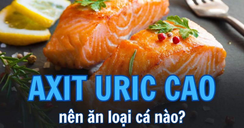 Axit uric cao, nên ăn loại cá nào?