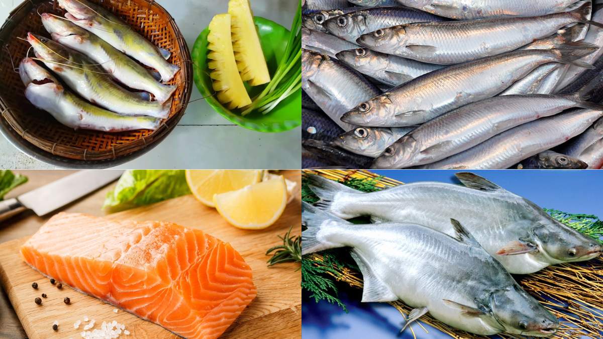 Người có axit uric cao có thể tiêu thụ các loại cá có hàm lượng purin dưới 100mg/100g. Đồ họa: Thùy Dung