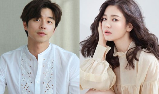 Gong Yoo và Song Hye Kyo được mời đóng chính trong phim mới của biên kịch Noh Hee Kyung. Ảnh: Naver