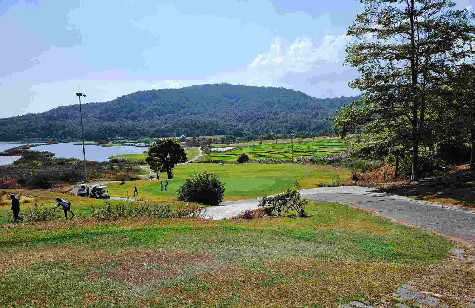 Lâm Đồng xác định rõ chính xác diện tích rừng bị mất trong quá trình triển khai Dự án sân Golf. Ảnh: Cộng tác viên