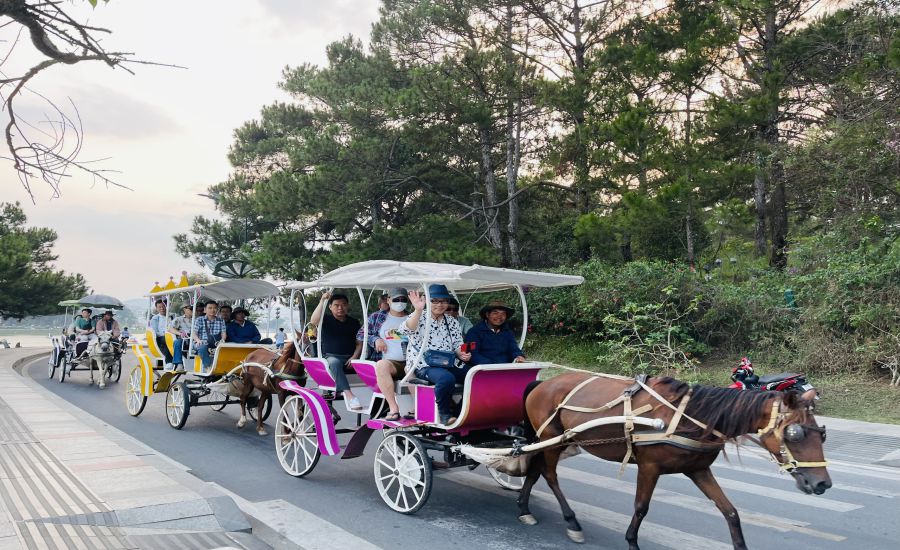 Du khách đi xe ngựa ngắm cảnh TP Đà Lạt. Ảnh: Mai Hương