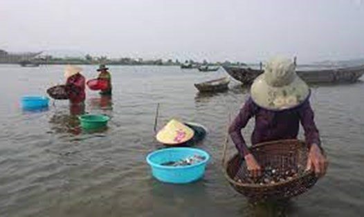 Người dân phường Hòa Hiệp Bắc (quận Liên Chiểu, TP Đà Nẵng) khai thác thủy sản. Ảnh: Văn Trực