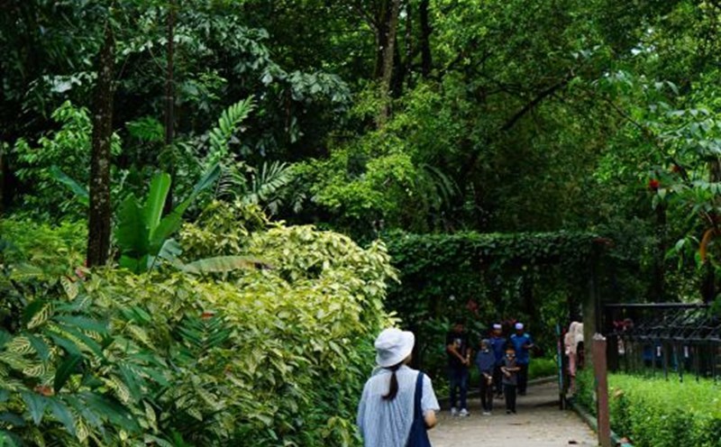 Những chuyến du lịch gần gũi với thiên nhiên có thể giúp giới trẻ chữa lành tâm hồn khỏi những áp lực cuộc sống. Ảnh: Nhân vật cung cấp