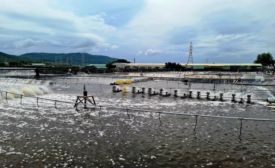 Công nghệ số đang góp phần nâng cao năng suất lao động, đặc biệt là trong lĩnh vực nông nghiệp. Ảnh: Vũ Long