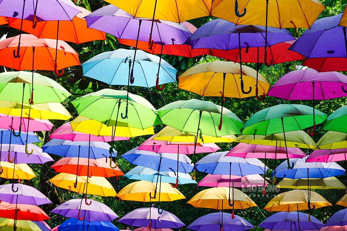 Để giảm bớt nắng, tại một số khu vực tại vườn thú Nội được bố trí hàng trăm chiếc ô với đủ sắc màu treo phía trên các lối đi lại.