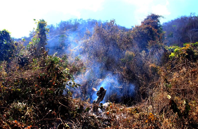 Một góc hiện trường đám cháy tại Núi Tô, được nhiều người biết đến qua danh xưng Phụng Hoàng sơn. Ảnh: Lục Tùng