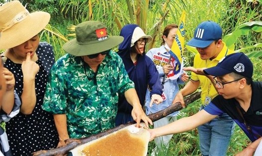 Một điểm du lịch cộng đồng, trải nghiệm ăn ong thu hút khách du lịch đến với tỉnh Cà Mau. Ảnh: Nhật Hồ