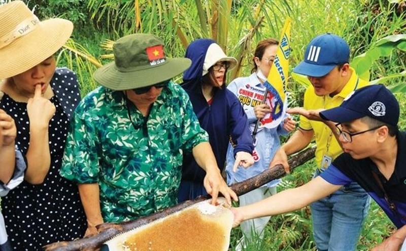Một điểm du lịch cộng đồng, trải nghiệm ăn ong thu hút khách du lịch đến với tỉnh Cà Mau. Ảnh: Nhật Hồ