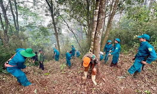 Các lực lượng chức năng tham gia chữa cháy rừng đặc dụng Tây Côn Lĩnh, huyện Vị Xuyên, Hà Giang. Ảnh: Khánh Toàn