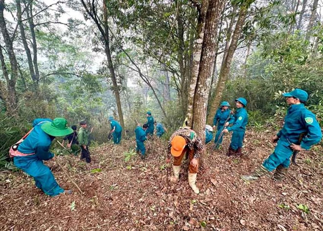 2 cán bộ kiểm lâm tử vong do cháy rừng, Thủ tướng Chính phủ ra công điện chỉ đạo