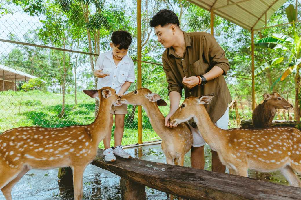 Du khách tìm hiểu cuộc sống của các loài động vật tại vườn thú.