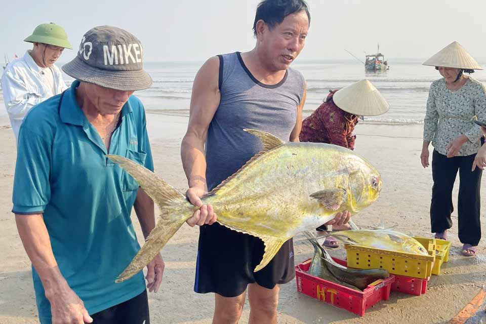 Sau 30 phút ra khơi, một tàu trúng đậm mẻ cá hiếm thu về hàng trăm ...