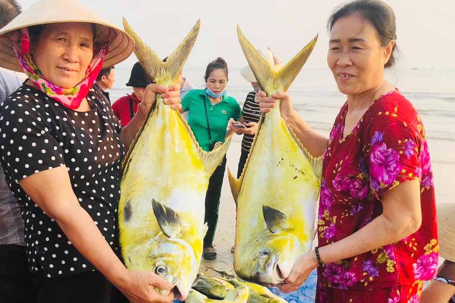 Sau 30 phút ra khơi, một tàu trúng đậm mẻ cá hiếm thu về hàng trăm ...