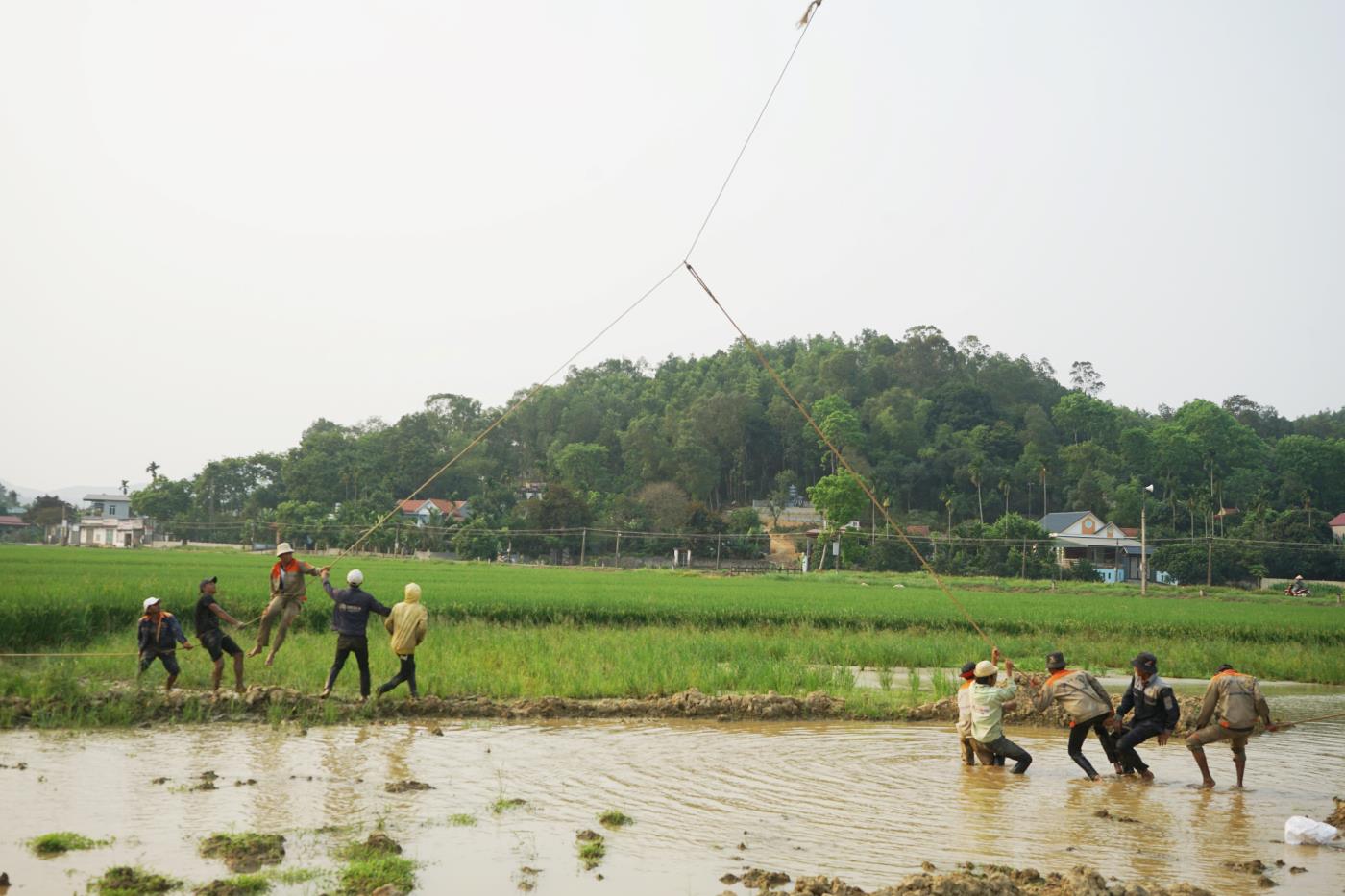 Cảnh các công nhân đu và néo dây dưới ruộng, để thực hiện việc lắp đặt cột điện cao thế tại xã Châu Lộc, huyện Hậu Lộc, tỉnh Thanh Hóa. Ảnh: Quách Du