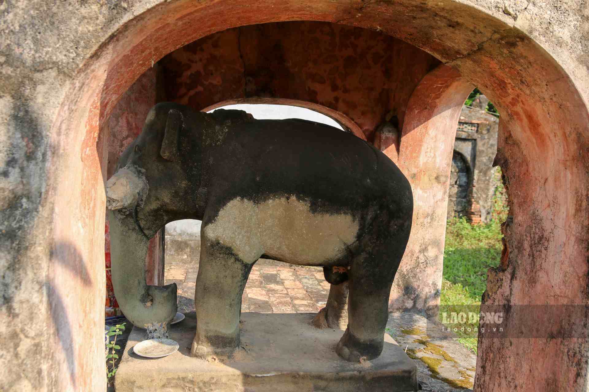 Không những mang tính lễ nghi và tâm linh, việc cho voi uống nước tại Hồ Điện là để hy vọng con voi được tăng thêm sức mạnh và may mắn trong các trận đấu.