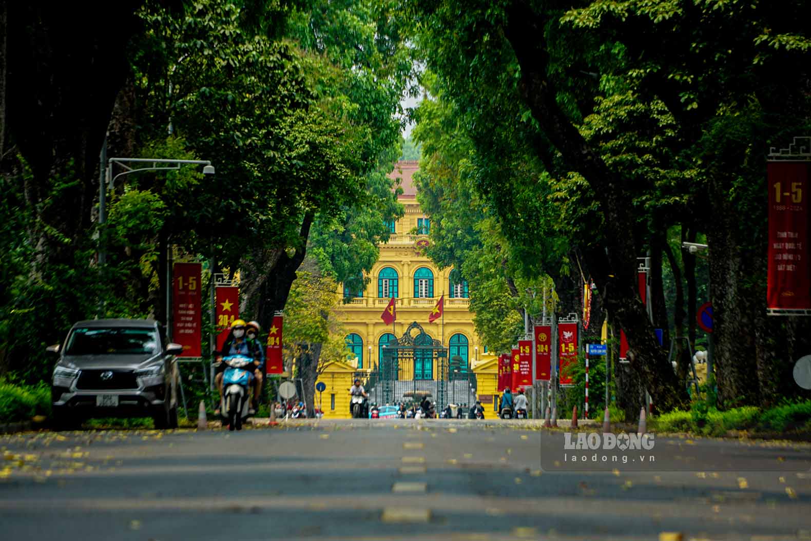 Hàng cây xanh tỏa bóng mát trên đường Hoàng Văn Thụ.