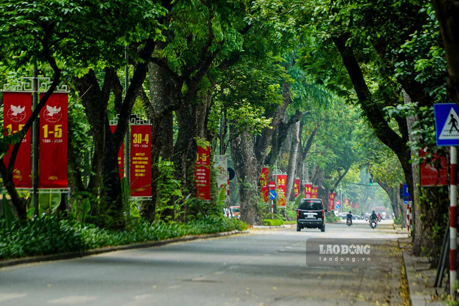 Đường Hoàng Diệu dài khoảng 1,3 km, nối liền hai phố Phan Đình Phùng và Nguyễn Thái Học được che phủ bởi hàng cây xà cừ cổ thụ xanh mát.