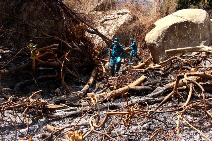 Chủ động chặt cây rừng, tạo đường băng khống chế ngọn lửa lây lan thêm. Ảnh: Lâm Điền