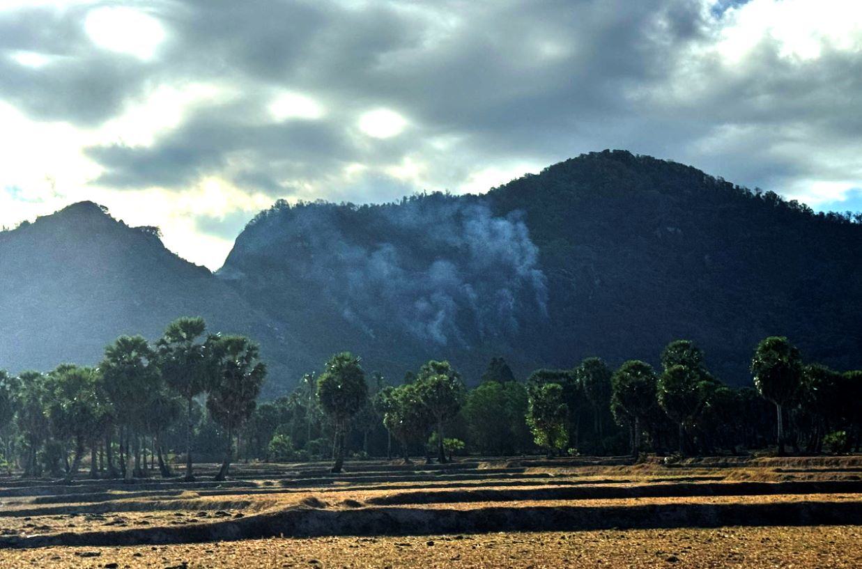 Một góc đám cháy rừng Núi Tôn sau khi lan qua địa bàn xã An Tức (Tri Tôn, An Giang). Ảnh: Lâm Điền