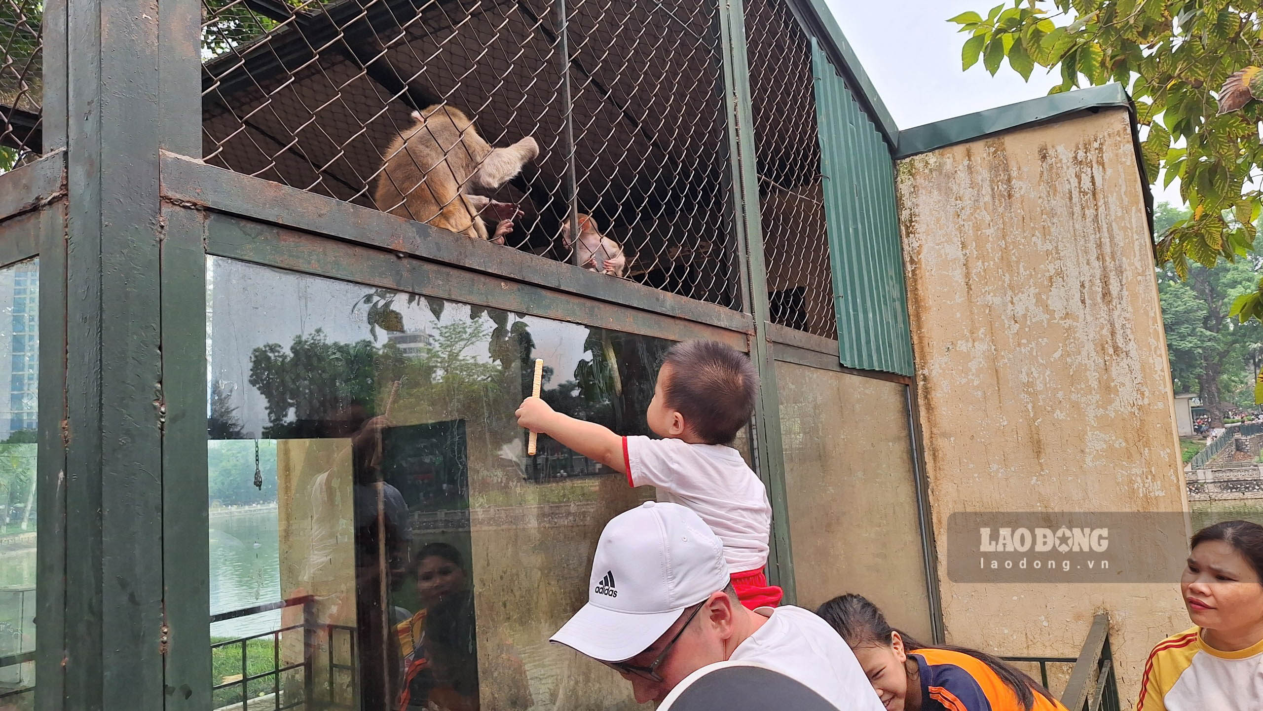 Các em nhỏ được bố mẹ đưa đến vui chơi tại Vườn thú Hà Nội.