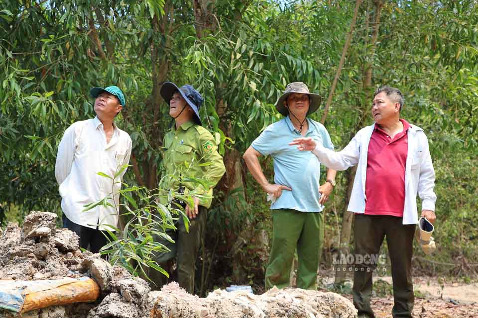 Chủ tịch UBND tỉnh yêu cầu tăng cường công tác ứng trực và thực hiện các biện pháp cấp bách phòng cháy và chữa cháy theo công văn của tỉnh. Xảy ra cháy, địa phương khẩn trương phối hợp với các ngành chức năng huy động lực lượng để xử lý tình huống cháy rừng, không để cháy lan, cháy lớn.