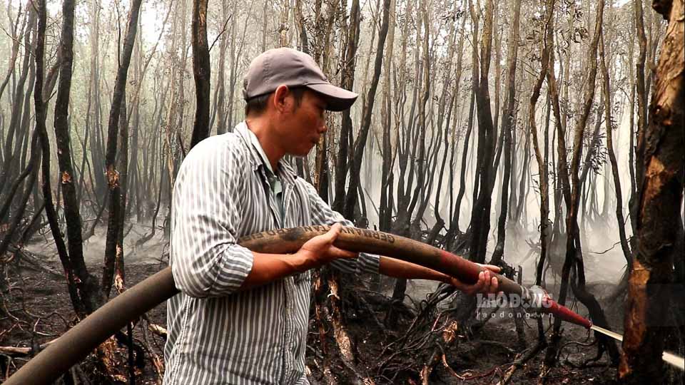 Sư đoàn 330 có tổng diện tích rừng 611ha, trước đó, rừng trên địa bàn huyện Giang Thành có mức cảnh báo cháy cấp V.   