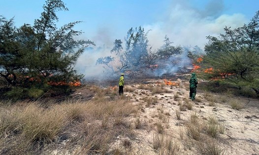 Rừng phòng hộ ở Quảng Bình bị cháy, hơn 300 người được điều động chữa cháy. Ảnh: V. Hạnh