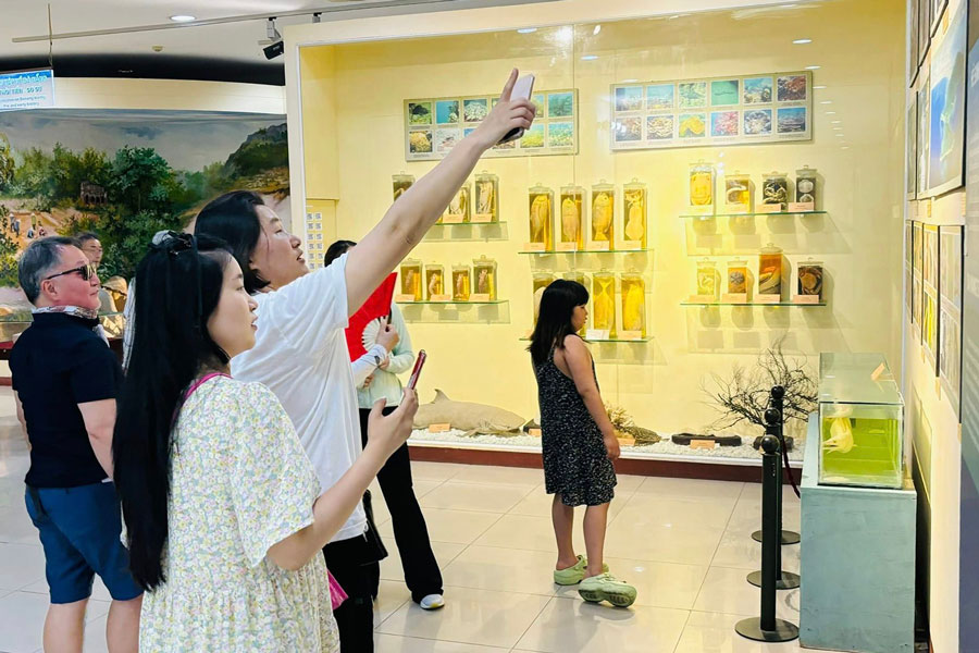 Bảo tàng Đà Nẵng mở triển lãm ảnh chuyên đề về chiến thắng Điện Biên Phủ. Ảnh: Bảo tàng