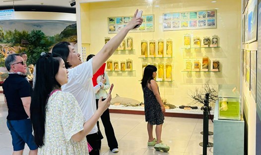 Bảo tàng Đà Nẵng mở triển lãm ảnh chuyên đề về chiến thắng Điện Biên Phủ. Ảnh: Bảo tàng