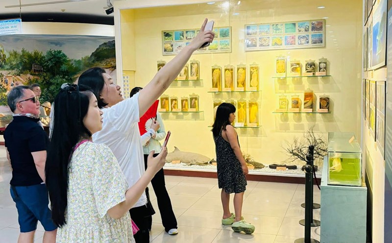 Bảo tàng Đà Nẵng mở triển lãm ảnh chuyên đề về chiến thắng Điện Biên Phủ. Ảnh: Bảo tàng