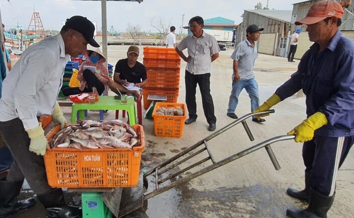 Mỗi chuyến ra khơi khi cặp bến ngư dân Bạc Liêu đối mặt với nguy cơ lỗ vốn do giá dầu tăng, giá cá không tăng. Ảnh: Nhật Hồ