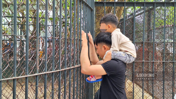 Nhiều gia đình trẻ ở Hà Nội đưa con đi Sở thú dịp nghỉ lễ 30.4 - 1.5. Ảnh: Vân Trường