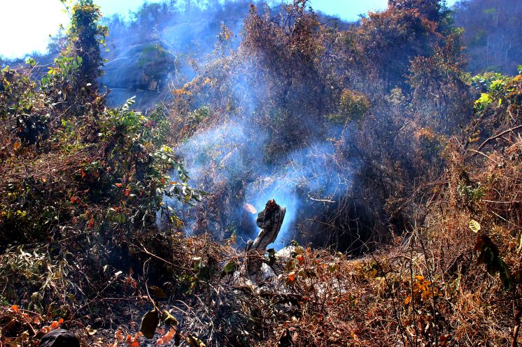 Mấy ngày qua, huyện Tri Tôn liên tiếp đón nhận nhiều đám cháy rừng tại nhiều địa phương, như: xã Núi Tô, xã An Tức, xã Lương Phi và thị trấn Ba Chúc. Ảnh: Lâm Điền