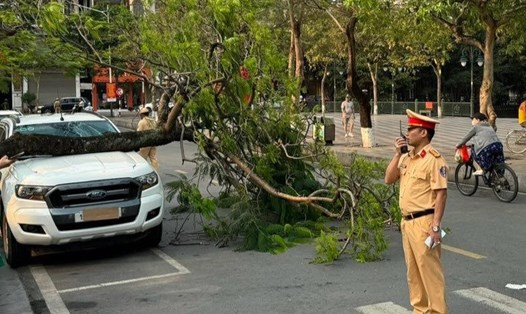 Lực lượng chức năng điều tiết giao thông tại khu vực cây gẫy đổ. Ảnh: Công an Hồng Bàng