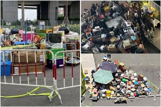Cô gái nuôi 19 chú chó bị đuổi khỏi chung cư: Một cơ sở chăm sóc thú cưng nhận nuôi tạm đàn chó