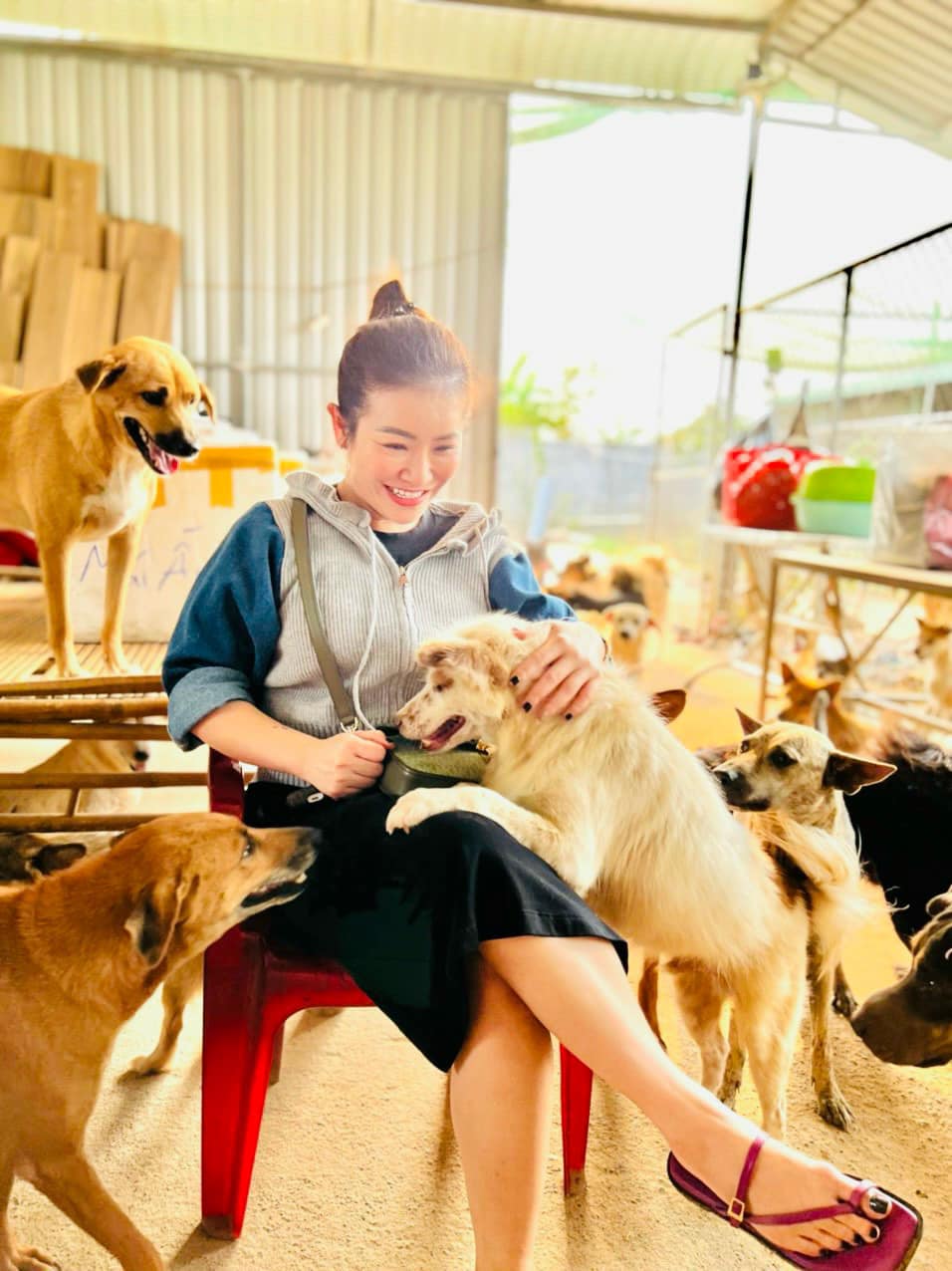 Kiều Linh thường xuyên ghé thăm đàn chó trong trang trại. Ảnh: Facebook nhân vật
