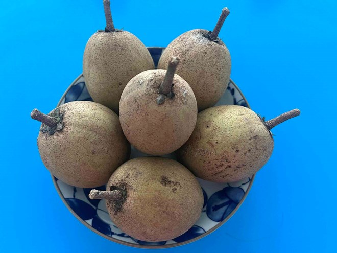 Ăn hồng xiêm có giảm cân không