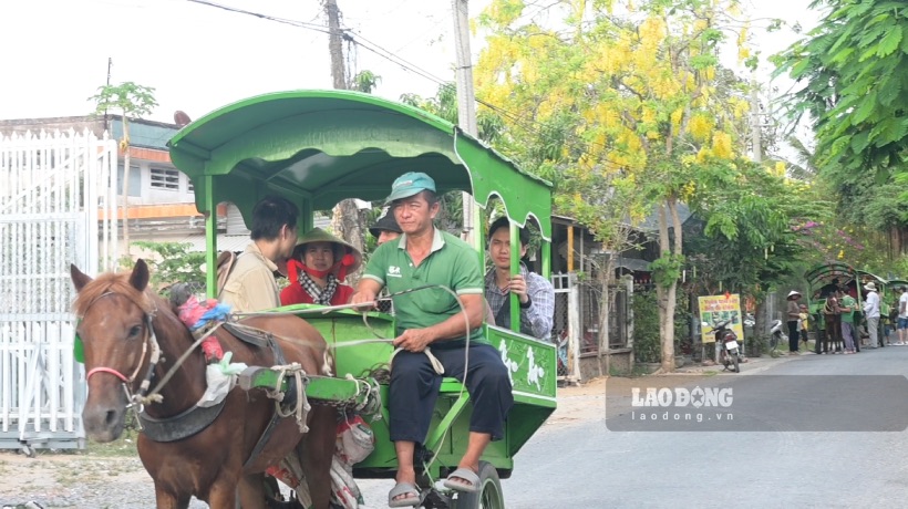 Còn anh Phạm Văn Bán - Du khách đến từ TP Hồ Chí Minh chia sẻ, sự độc đáo, tiếng lốc cốc của vó ngựa vẫn khiến du khách như anh khó cưỡng khi đặt chân đến Cồn Thới Sơn. Đây cũng là hoạt động trãi nghiệm rất hay cho du khách.