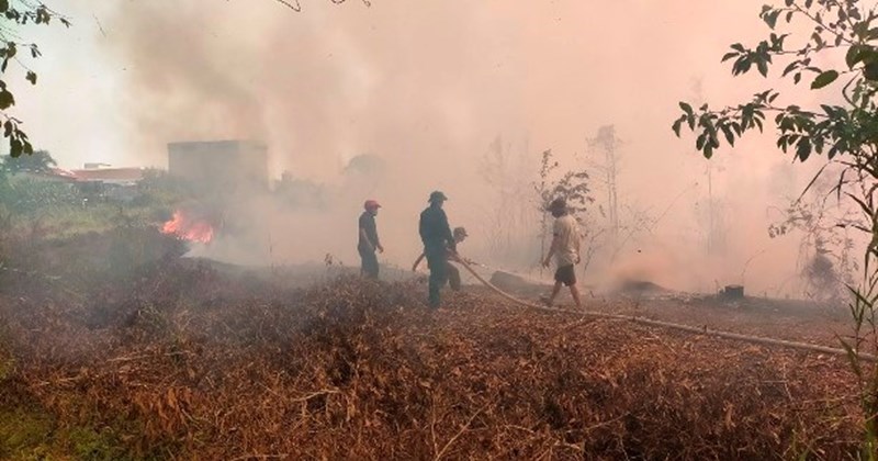 Liên tiếp xảy ra cháy rừng, Thủ tướng Chính phủ chỉ đạo khẩn
