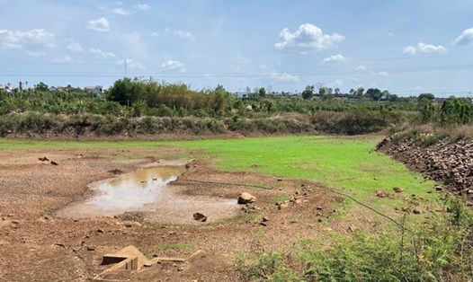 Toàn tỉnh Đắk Nông đã có 27 công trình thủy lợi đã hết nước hoặc sắp cạn kiệt nguồn nước. Ảnh: Phan Tuấn