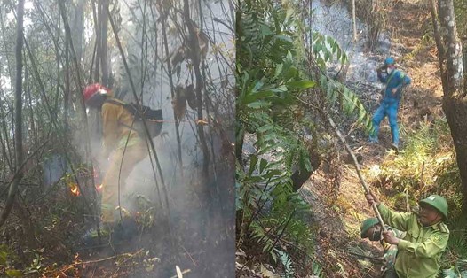 Hơn 800 người tham gia chữa cháy rừng tại Điện Biên. Ảnh: Kiểm lâm cung cấp