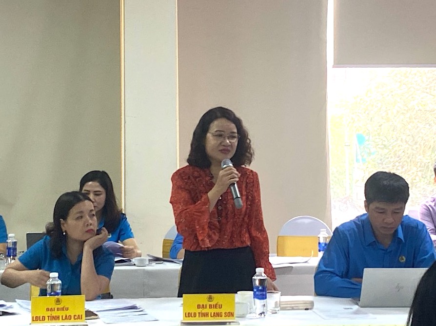 Bà Bế Thị Hòa - Chủ tịch LĐLĐ tỉnh Lạng Sơn nêu ý kiến góp ý tại hội thảo. Ảnh: Quang Tuấn