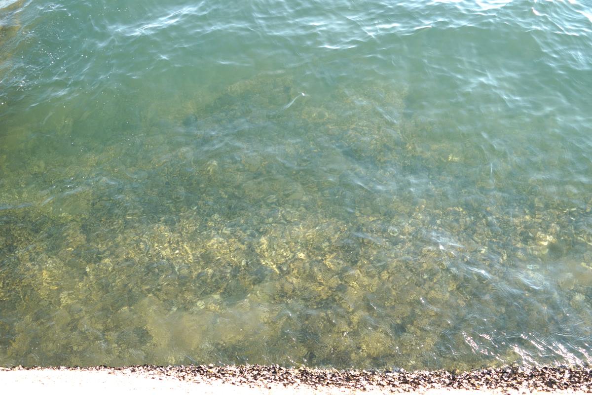 Nước biển khá trong và sạch dịp đầu tháng 4.2024. Ảnh: Thành An