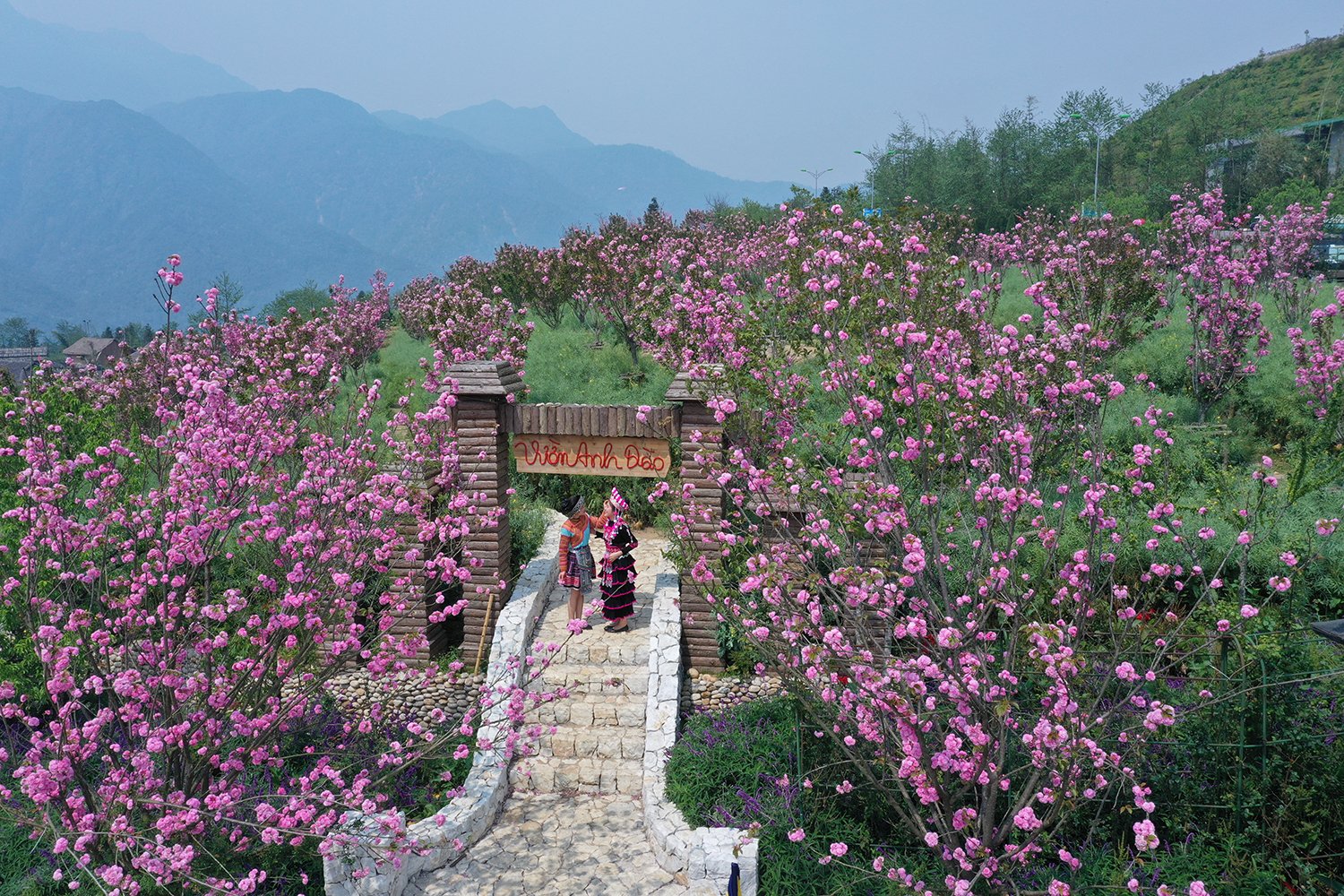 Sa Pa luôn là điểm đến thu hút nhiều du khách lựa chọn trải nghiệm. Ảnh: H. Hà