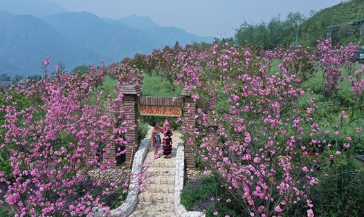 Sa Pa luôn là điểm đến thu hút nhiều du khách lựa chọn trải nghiệm. Ảnh: H. Hà