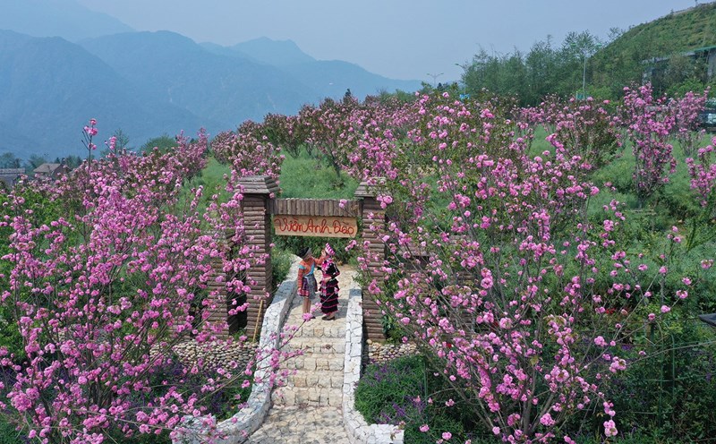 Sa Pa luôn là điểm đến thu hút nhiều du khách lựa chọn trải nghiệm. Ảnh: H. Hà