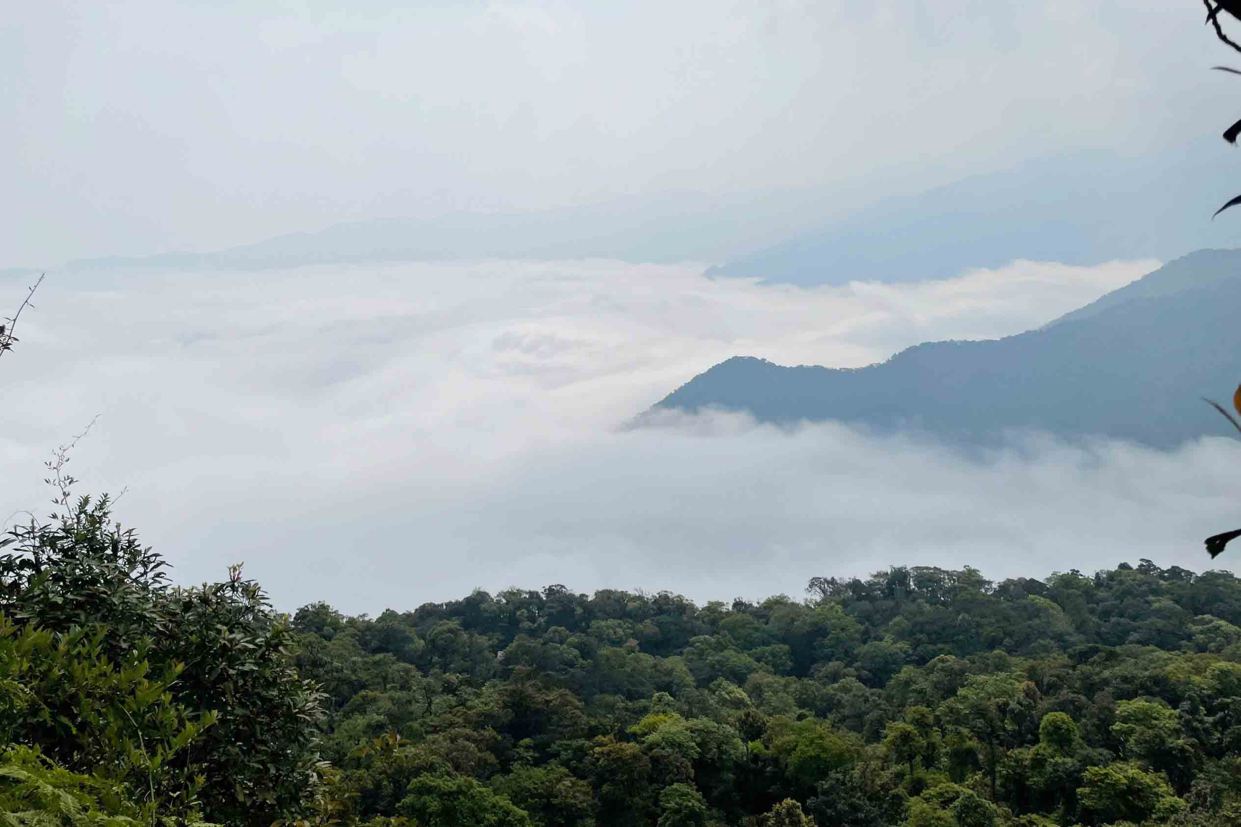 Mây trắng bồng bềnh bao phủ núi rừng Vũ Quang. Ảnh: Quang Tuấn.