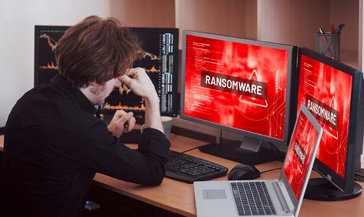 Các tên miền có đuôi .vn (Việt Nam) đang bị tấn công ransomware với số lượng nhiều. Ảnh: Chụp màn hình