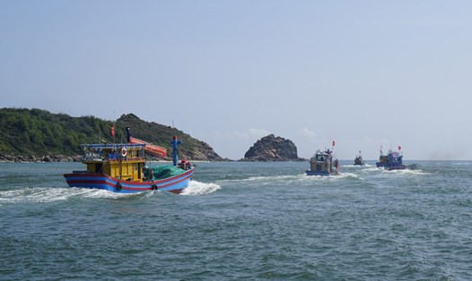 Tàu cá của ngư dân thị xã Hoài Nhơn (Bình Định) ra khơi đánh bắt hải sản. Ảnh: Hoài Luân